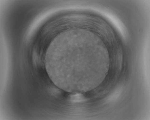 X0000113330431200909281231