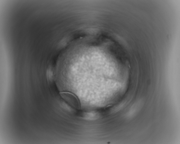 X0000113330432200909281231