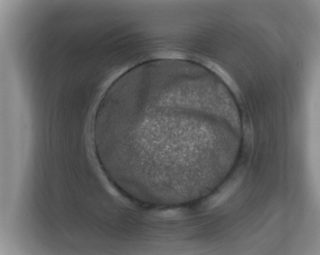 X0000113330433200909281231