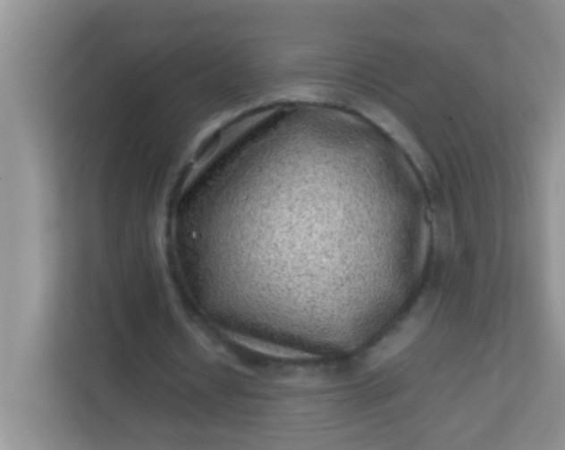 X0000113330434200909281231