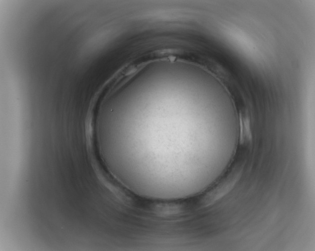 X0000113330435200909281231