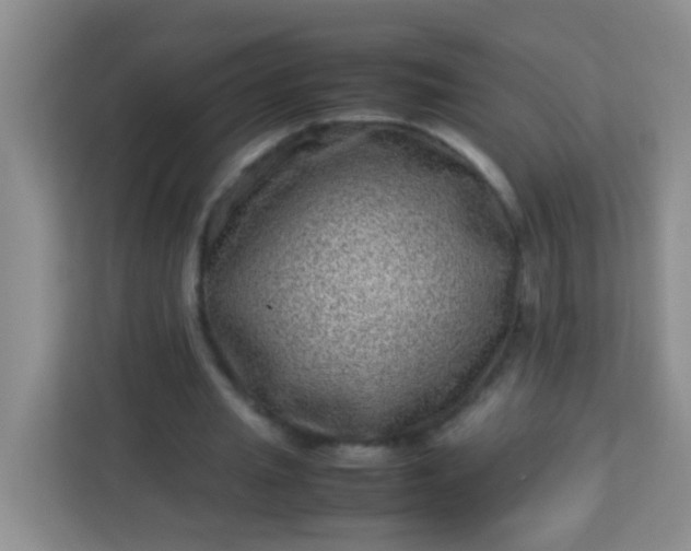 X0000113330437200909281231