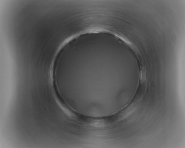 X0000113330438200909281231