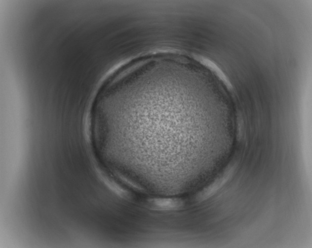 X0000113330439200909281231