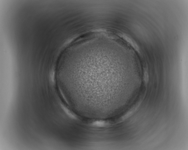 X0000113330441200909281231