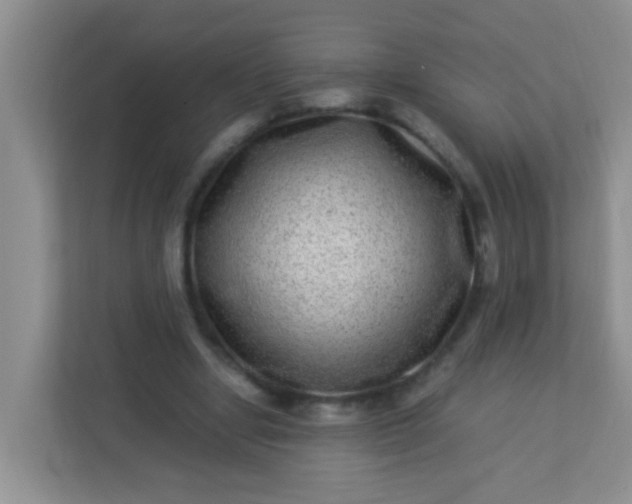 X0000113330442200909281231