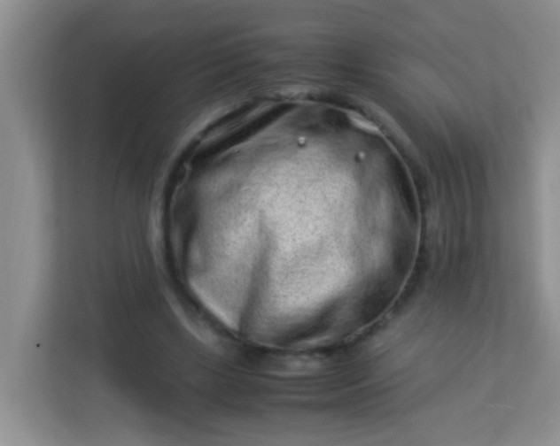 X0000113330443200909281231