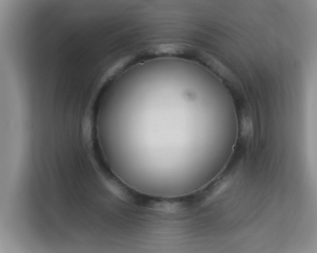 X0000113330444200909281231