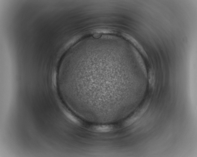 X0000113330445200909281231