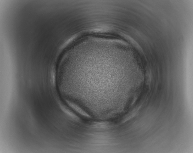 X0000113330446200909281231