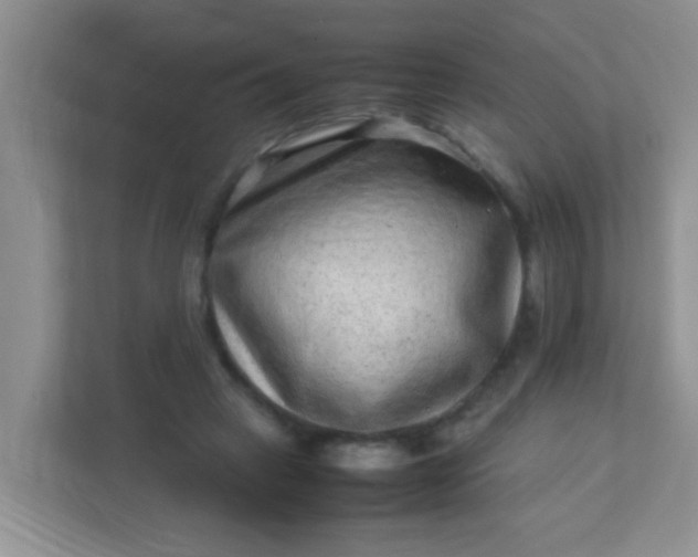 X0000113330449200909281231