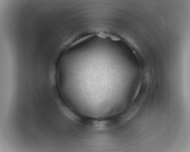 X0000113330450200909281231
