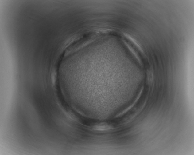 X0000113330451200909281231