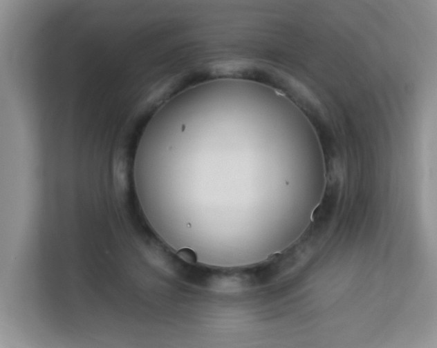 X0000113330452200909281231
