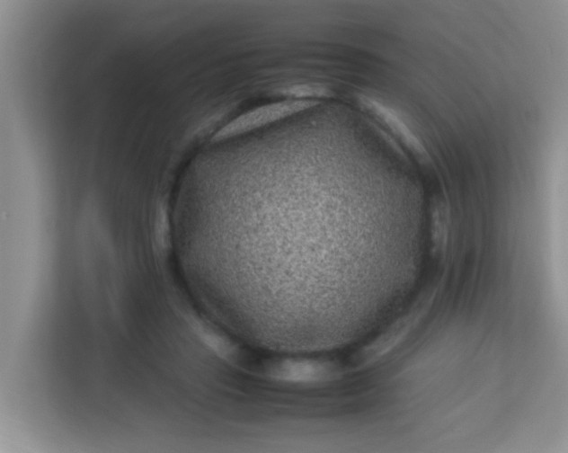 X0000113330453200909281231