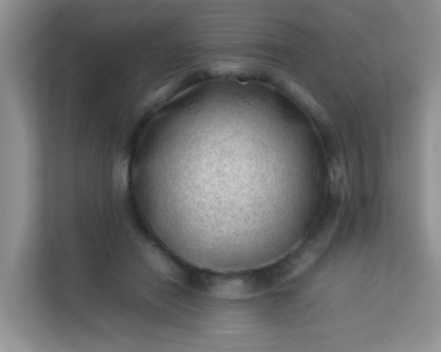 X0000113330454200909281231