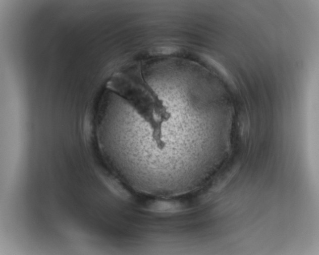 X0000113330455200909281231