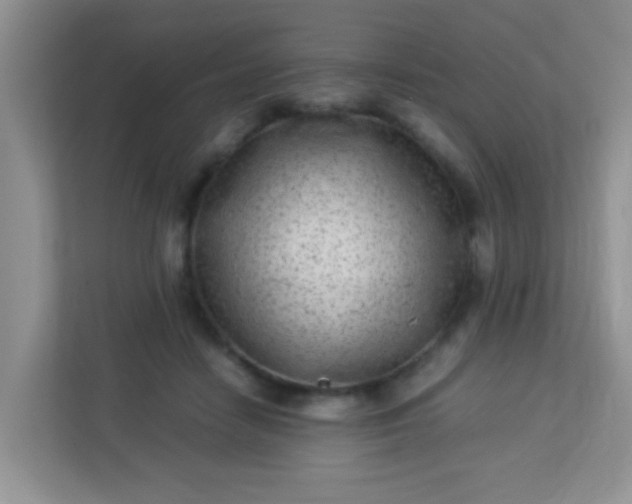 X0000113330458200909281231