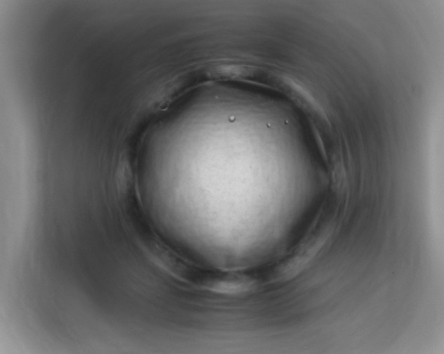 X0000113330459200909281231