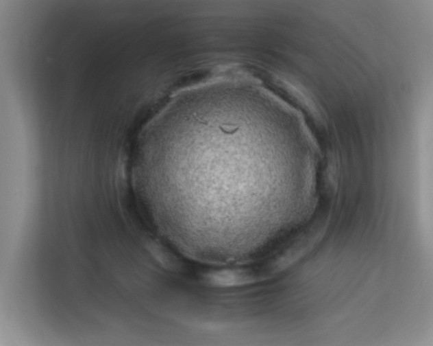 X0000113330461200909281231
