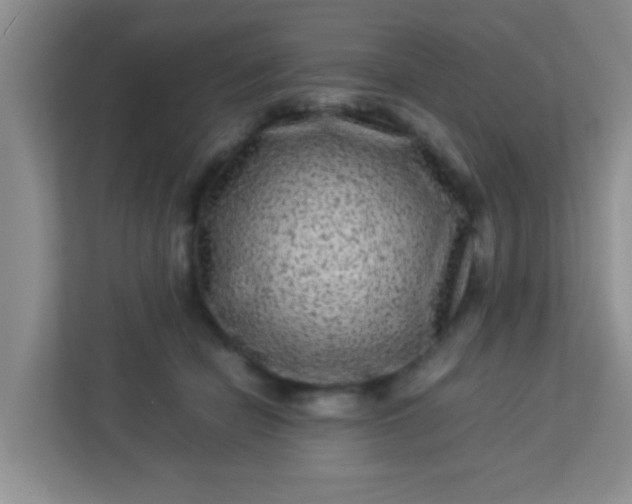 X0000113330462200909281231