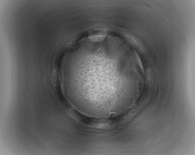 X0000113330463200909281231