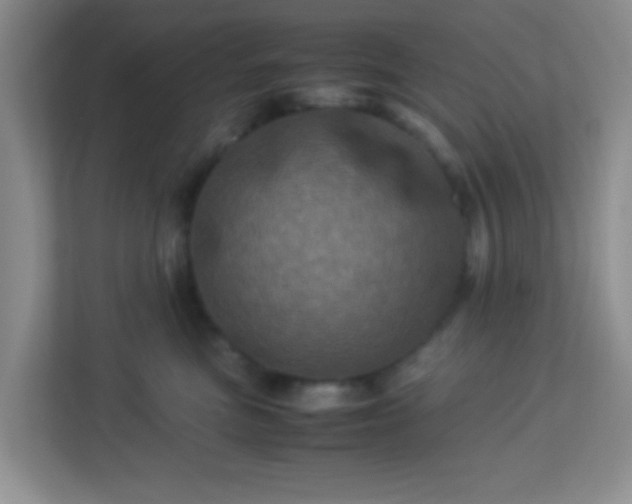 X0000113330473200909281231