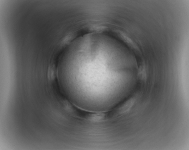 X0000113330474200909281231