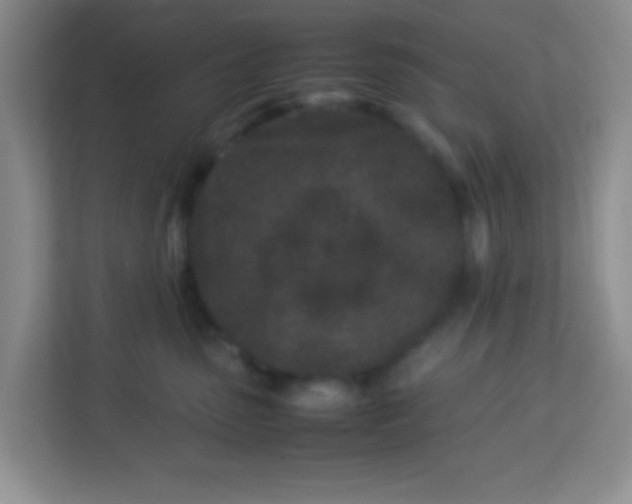 X0000113330475200909281231