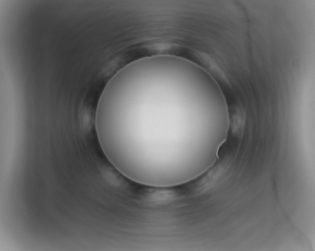 X0000113330476200909281231