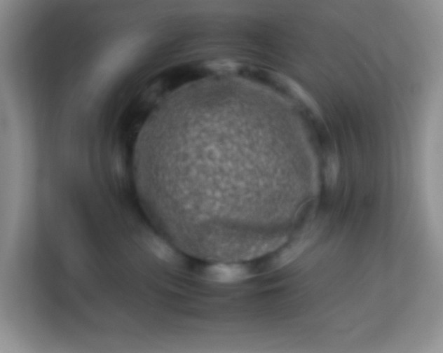X0000113330477200909281231