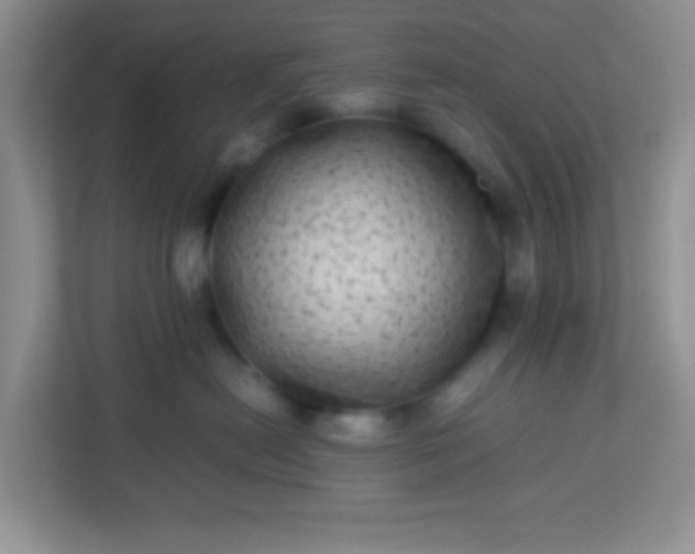X0000113330478200909281231