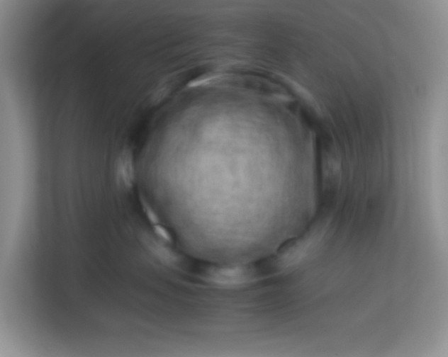 X0000113330479200909281231