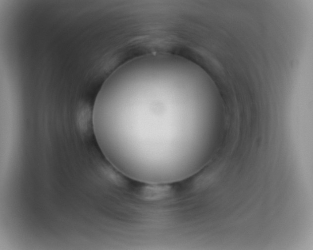 X0000113330480200909281231