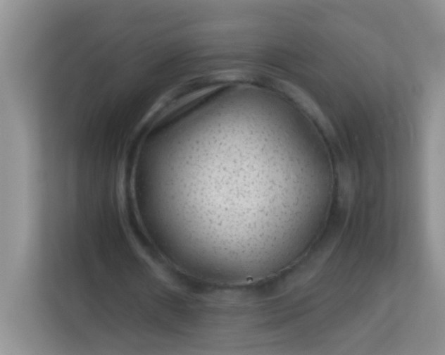 X0000113330482200909281230