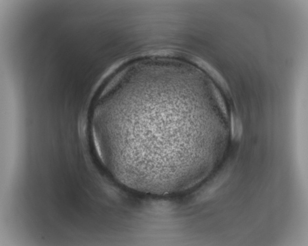 X0000113330483200909281230