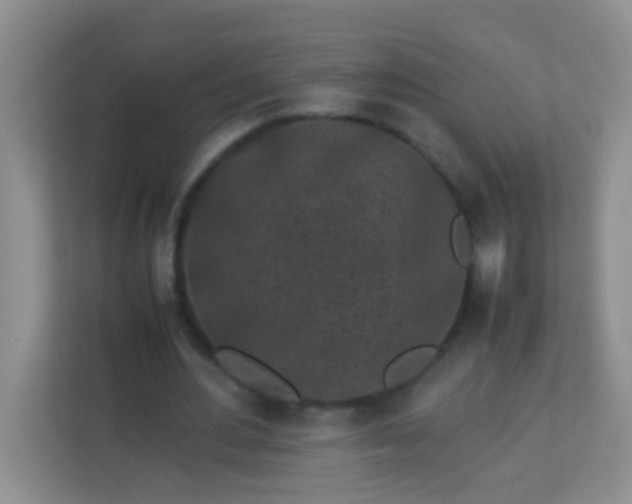 X0000113330484200909281230