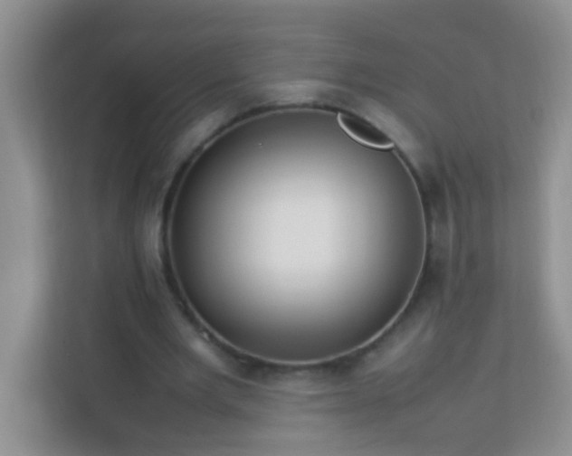 X0000113330485200909281230
