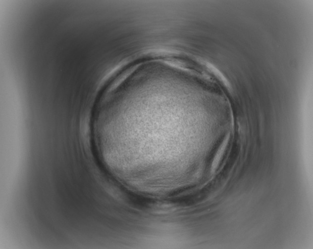 X0000113330487200909281230