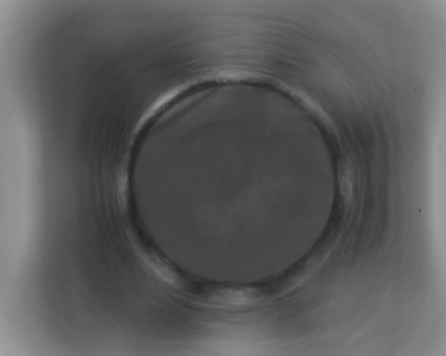 X0000113330488200909281230