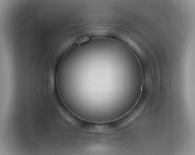 X0000113330493200909281230