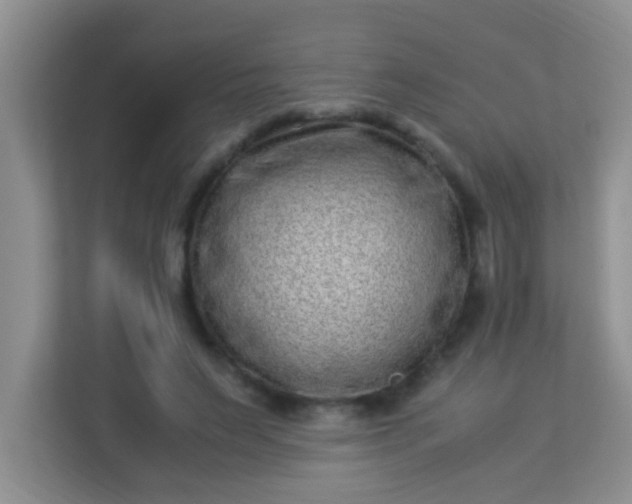X0000113330495200909281230