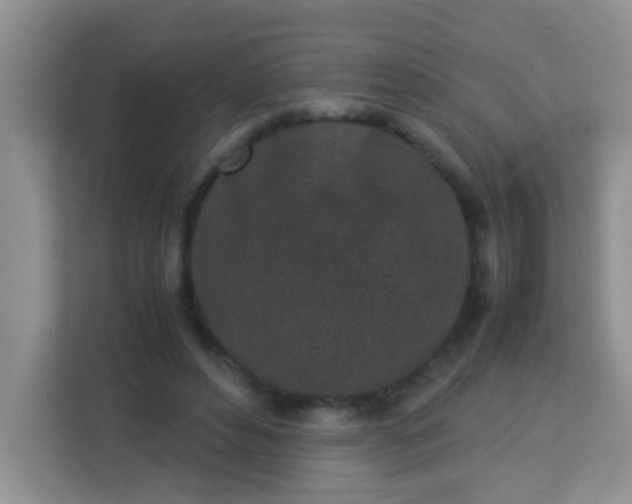 X0000113330496200909281230