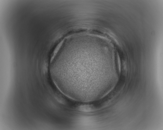 X0000113330499200909281230