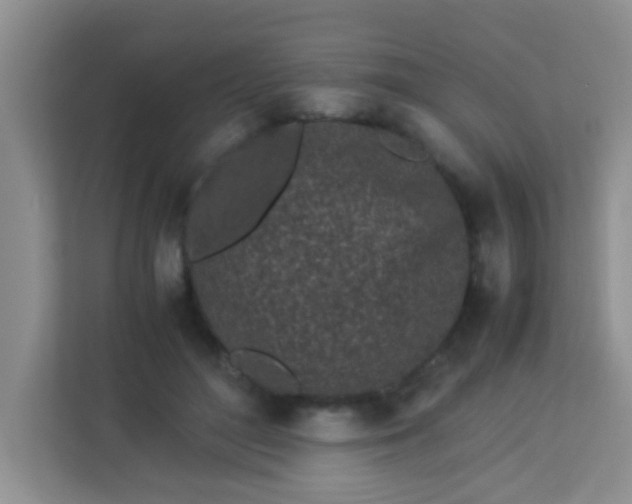 X0000113330500200909281230