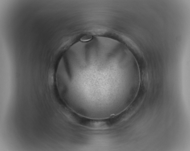 X0000113330501200909281230