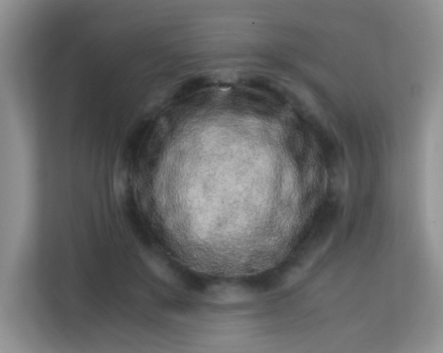 X0000113330503200909281230