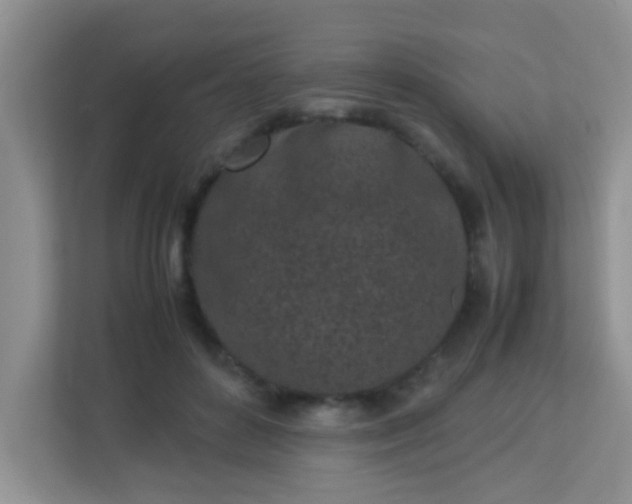 X0000113330504200909281230