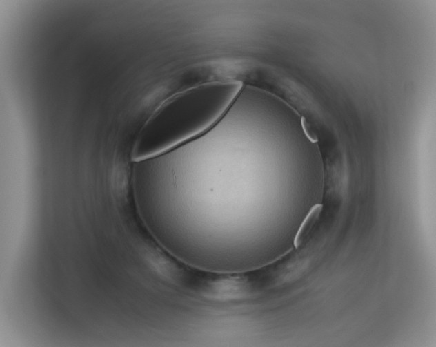 X0000113330505200909281230