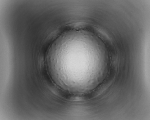 X0000113330506200909281230